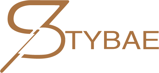 Stybae Logo
